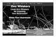 Zinc Whiskers - NASA April 2, 2003 Could Zinc Whiskers Be Impacting Your Electronics? 2 Zinc whiskers