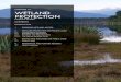 Wetland restoration handbook Chapter 14 Wetland …...SECTION THREE: MEASRIN THE RESLTS WETLAND PROTECTION CHAPTER 1 PROTECTION 265 The privately owned wetland restoration is protected