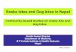 Snake bites and Dog bites in Nepal - WHO › bloodproducts › animal_sera › K.S.Sanjib...Snake bites and Dog bites in Nepal Sanjib Kumar Sharma Department of Medicine, B P Koirala