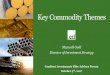 Key Commodity Themes - Amazon S3€¦ · Key Commodity Themes. For Use With Institutions Only, Not For Use with Retail Investors. ... REITs (Real Estate Investment Trusts) = FTSE