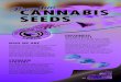 CANNABIS SEEDS€¦ · SEEDS WHO WE ARE Grower’s Choice Seeds is a trusted North American health and wellness company. We procure and deliver premium cannabis seeds to consumers