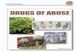 Drugs of Abuse › cms › documents › Drugs of Abuse.pdf · Stimulants •Cocaine •Amphetamines •Methcathinone •Methylphenidate •Anorectic Drugs •Khat Drugs of Abuse