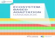 ECOSYSTEM- BASED ADAPTATION › files › klimaat_water_voedsel › eba_handbook.pdf · Rapid Ecosystem Services Appraisal ... and clean water – thus reducing vulnerabilities and
