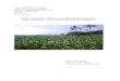 Water hyacinth – Effects on sustainable development.121190/FULLTEXT01.pdf · TITLE: Water hyacinth – Effects on sustainable development. - A minor field study about water hyacinth