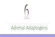 Adrenal Adaptogens - Dashboard · •Stamina, fatigue •Connected to inflammation and free-radical production . ... (men, women) Relora vs placebo for 4 weeks •Salivary cortisol