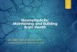Neuroplasticity: Maintaining and Building Brain Health · Objectives Describe the concept of neuroplasticity and why this is so important for brain health Learn about positive and
