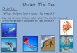 Starter · Prevent Sea Pollution Plastic Oil Recycling Sewage Sea animals Rubbish Task 2: Can you make a list of changes you can do to prevent sea pollution happening and share these