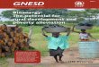 Bioenergy: The potential for rural development and poverty …€¦ · Bioenergy: The potential for rural development and poverty alleviation 3 Acknowledgement This summary for policy-makers
