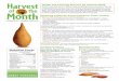 Health and Learning Success Go Hand-In-Hand Exploring …harvestofthemonth.cdph.ca.gov/documents/Winter... · 2014-03-03 · SWEET POTATOES Health and Learning Success Go Hand-In-Hand