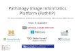 Pathology Image Informatics Platform (PathIIP)...•Platform •Platform description in Cancer Research, 2017 • Martel AL, Hosseinzadeh D, Senaras C, Zhou Y, Yazanpanah A, Shojaii