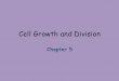 Cell Growth and Divisionjkilfoyle.weebly.com › uploads › 1 › 2 › 2 › 8 › 12288004 › 5... · Chapter 5 . THE CELL CYCLE 5.1 . ... ASEXUAL REPRODUCTION 5.4 . Key Concept