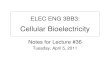ELEC ENG 3BB3: Cellular Bioelectricity › ~ibruce › courses › EE3BB3... · Cellular Bioelectricity Notes for Lecture #36 Tuesday, April 5, 2011. 2. Brain Computer-Interface (BCI)