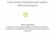 Low Carbon Development within SDG Framework › wp-content › uploads › 2018 › 10 › ... · Sumatra and Kalimantan Activities Rice Sago Oil Palm Planting up to transportation