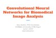 Convolutional Neural Networks for Biomedical Image ...Deep Learning Intro Perceptron and MLP intro Convolutional NN intro Deep CNN Tools and methods for Deep CNNs. Artificial Neural