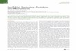 lincRNAs: Genomics, Evolution, and Mechanismsbartellab.wi.mit.edu › publication_reprints › Ulitsky_Cell_2013.pdf · Leading Edge Review lincRNAs: Genomics, Evolution, and Mechanisms