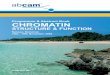 Programme & Abstract Book CHROMATIN › ps › pdf › neuroscience › nassau_prog.pdf · 2005-10-13 · Programme & Abstract Book CHROMATIN STRUCTURE & FUNCTION Nassau, Bahamas
