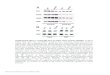 SUPPLEMENTAL FIGURE LEGENDS Supplemental Figure 1. spectrometry protocols for analysis of kinesin-1