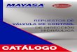 CATÁLOGO - Mayoreo De Autopartes · catÁlogo de direcciÓn hidrÁulica. 2 aÑo aÑo2 modelo repuesto de valvula de control repuesto del cilindro repuesto del piston ... custom
