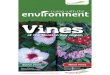 Native Vines Weed Vines · Vine s 2 ’ ˛˚ 3 ˛ ˜˚˛˚ˇ˛ vary from vine to vine. Always carefully read the label of the chemical before commencing any work and always follow