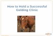 How to Hold a Successful Gelding Clinic - ASPCApro · How to Hold a Successful Gelding Clinic ... • Marketing and promotion • Fundraising • Volunteer recruitment, training and