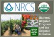 National Organic Program and the€¦ · NOP 205.202 requires defined boundaries and buffer zones such as runoff diversions to prevent the unintended application of a prohibited substance