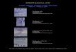 Alfred Steiglitz Camera Work (1903-1917) Checklist · Alfred Stieglitz: Camera Work (1903-1917) March 7 - April 27, 2019 The Steerage, 1907 Photogravure 7.75 x 6.25 inches Published