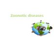 Zoonotic disease - fac.ksu.edu.safac.ksu.edu.sa/sites/default/files/lec_8_zoonotic_diseses.pdf · Zoonotic disease – transmission • Coming into contact with the saliva, blood,