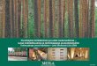 Puunkäytön kehittäminen ja uudet tuotemarkkinat – uusia ... · Metsien hyvinvointivaikutukset -tutkimusohjelma, HYV (2008-2012), professori Liisa ... Metlan tutkimusohjelma 2009–2013
