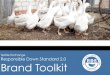 Textile Exchange Responsible Down Standard 2.0 Brand ToolkitRDS Brand Toolkit 1. Read and understand the Responsible Down Standard • Brand 2. Identify types of down and feathers