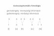 Autoszegmentális fonológia gerinctengely: mennyiségi információ … · 2015-11-07 · Autoszegmentális fonológia a gerinctengely kétféle elmélete: • homogén: csak id
