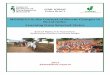 GIDR- ICRISAT Policy Brief 1oar.icrisat.org/8760/1/GIDR-ICRISAT Policy Brief 1-Final.pdf · parts of rural India. Seasonal migration from rural to urban is also at high scale during