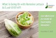 What Is Going On with Romaine Lettuce › wp-content › uploads › 2020 › 06 › ...Produce Marketing Association Publix Super Markets Charities, Inc. Refrigerated Foods Association