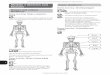 Module 1 Skeleton and Super skeletons Muscles › 2018 › 07 › 19 › 13 › 04 › 41 › ... · Module 1 Skeleton and Muscles Human and animal skeletons Home learning Make a