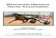 Wisconsin Harness Horse Associationwiharnessracing.com/Documents/ConditionBook/WHHA... · WHHA 2019 Board of Directors (Year designates Term expiration) President - Danny Carey -