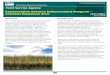 Conservation Reserve Enhancement Program › Assets › USDA-FSA-Public › usdafiles › Fac… · Conservation Reserve Enhancement Program – Colorado Republican River Farm Service