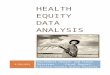 Health Equity Data Analysis€¦ · Web viewThe Social Determinants of Health Conceptual Framework address the distribution of wellness and illness among a population- its patterns,