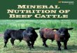 Extension - University of Tennessee systemforages.tennessee.edu/Content Folders/Beef Cattle... · Assessing and Improving the Mineral Status of Tennessee Forages and Beef Cattle 6
