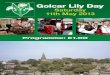 Golcar Lily Dayﬂ ash of a kingﬁ sher as it darts past you. Minibuses As well as all the entertainment in Golcar, there’s also lots to do at the venues. Two free minibuses will