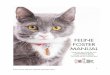 1 Feline Foster Manual: Updated September 2018€¦ · criteria for volunteering at the OHS are not the same as for adopting. As a result, the foster family may not be the best match