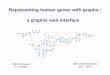 Representing human genes with graphs : a graphic web interface › tromer › doc › DEA_presentation.pdf · Representing human genes with graphs : a graphic web interface DEA in