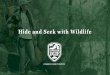 Hide and Seek with Wildlife - Virginia DGIF › wp-content › uploads › ...Hide and Seek with Wildlife. Wildlife is all around us and often they can see us even when we can’t