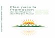 2015-2274 LIBRO PLAN PROMO RURAL › es › desarrollo-rural › temas › ... · El Plan Estratégico de Igualdad de Oportunidades 2014-2016, que responde al compromiso del Gobierno
