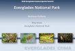 Burmese Pythons Skip Snow Everglades National Park · 2016-01-06 · Visitors to Everglades National Park Park Staff . Invasive Species Programs • {Task Name-- e.g., Removal of