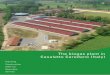 The biogas plant in Casaletto Ceredano (Italy) · The biogas plant in Casaletto Ceredano (Italy) A cutting-edge plant powered only by slurry The plant owned by the management company