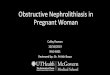 Obstructive Nephrolithiasis in Pregnant Woman...Obstructive Nephrolithiasis in Pregnant Woman Colby Rozean 10/16/2019 RAD 4001 Reviewed by: Dr. Pritish Bawa