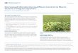 Doveweed (Murdannia nudiflora) Control in Warm- Season ...edis.ifas.ufl.edu/pdffiles/AG/AG39500.pdfSS-AGR-391 Doveweed (Murdannia nudiflora) Control in Warm-Season Turfgrass Species