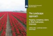The Landscape approach - Land Governance– Causes land related conflicts – Violation of rights of indigenous population – Degradation of biodiversity and ecosystem services, not