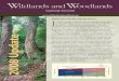 Gaining Ground - Harvard Forest › sites › harvard...Gaining Ground 2008 Update 2008 Update / Page 2 Wildlands and Woodlands – Perspective W hen the first draft of Wildlands and