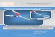 Hummingbird Medhummingbirdmed.com/wp-content/uploads/LBL_025rev4_HUM_08...“Micro Solutions” for the Neonate Hummingbird Med Hummi Closed Needleless Micro-Draw Blood Transfer Device