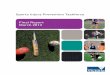 Sports Injury Prevention Taskforce Final Report March 2013 · 2019-08-22 · Sports Injury Prevention Taskforce Final Report 3 6. The selected focus areas 29 6.1 Three suggested approaches